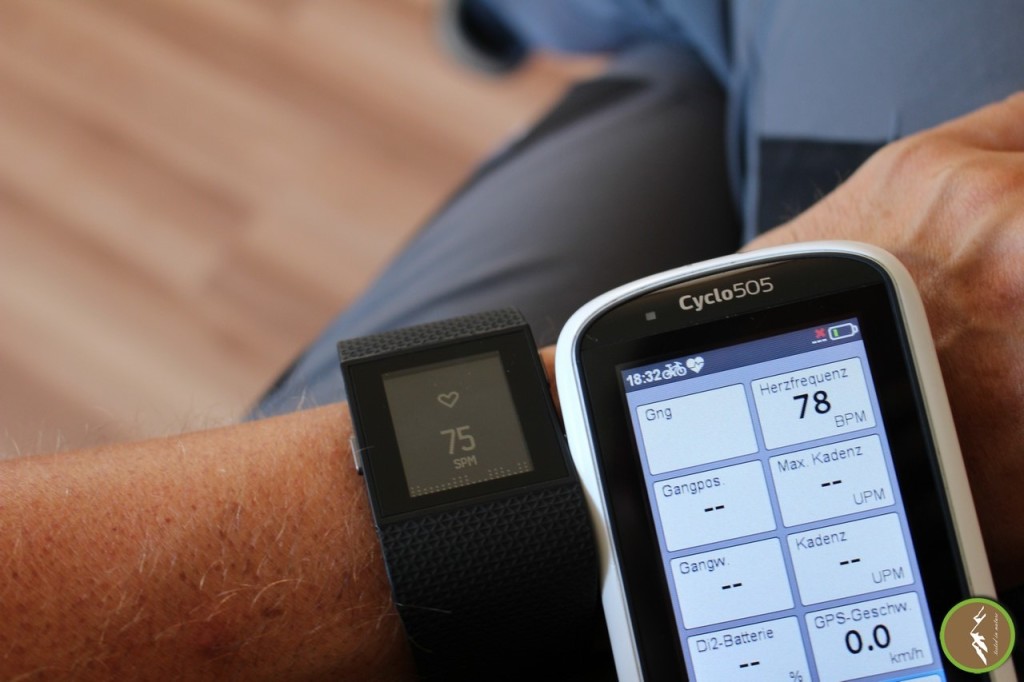 Fitbit Surge - Die Fitness-Superwatch?