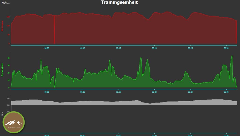Fitbit Surge - Die Fitness-Superwatch?