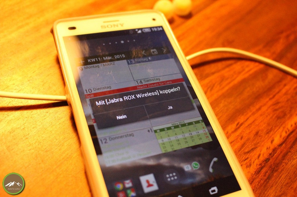 Jabra Sport Rox wireless