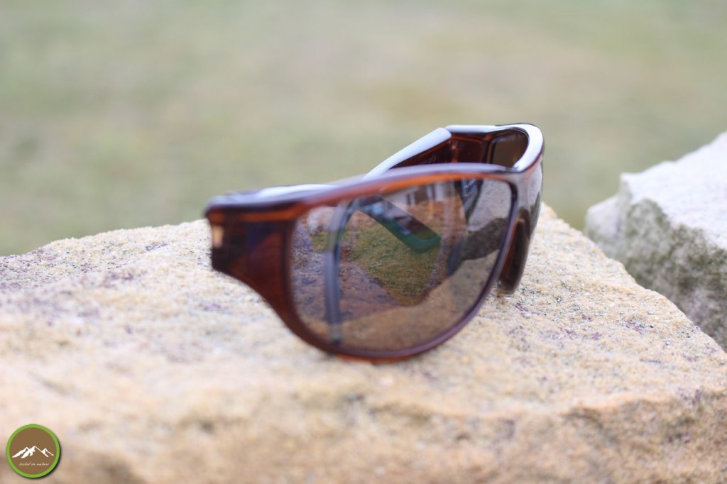 adidas Sport eyewear daroga