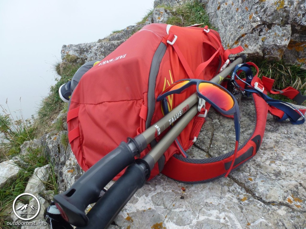 MSR TALUS™ TR-2 Trekkingstöcke