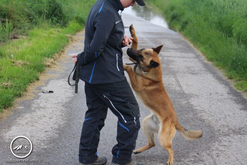 Engelbert Strauss Softshelljacke e.s. motion 2020