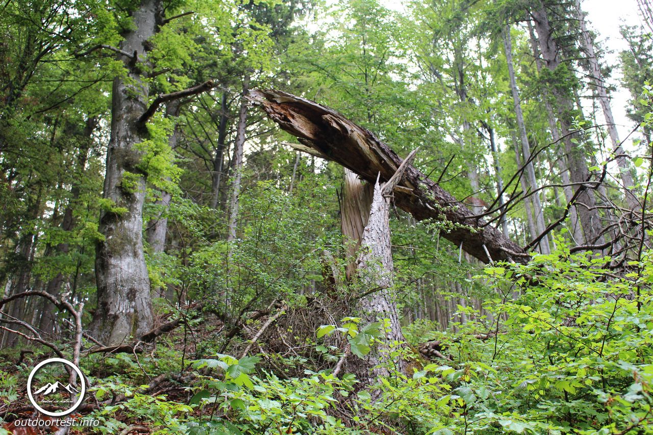 Wandertrophy 2016 - 1. Station Tegernsee-Schliersee 27.-29.05.2016