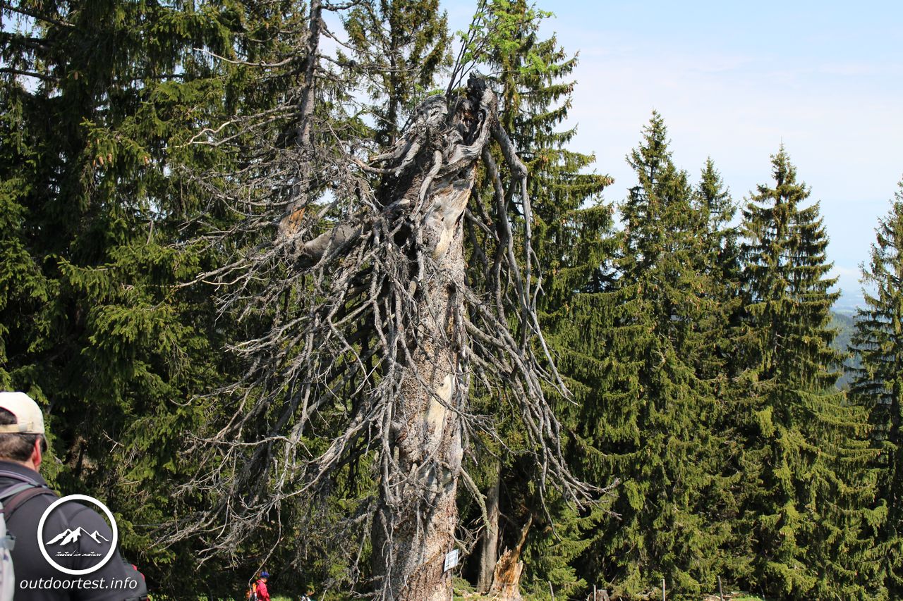 Wandertrophy 2016 - 1. Station Tegernsee-Schliersee 27.-29.05.2016