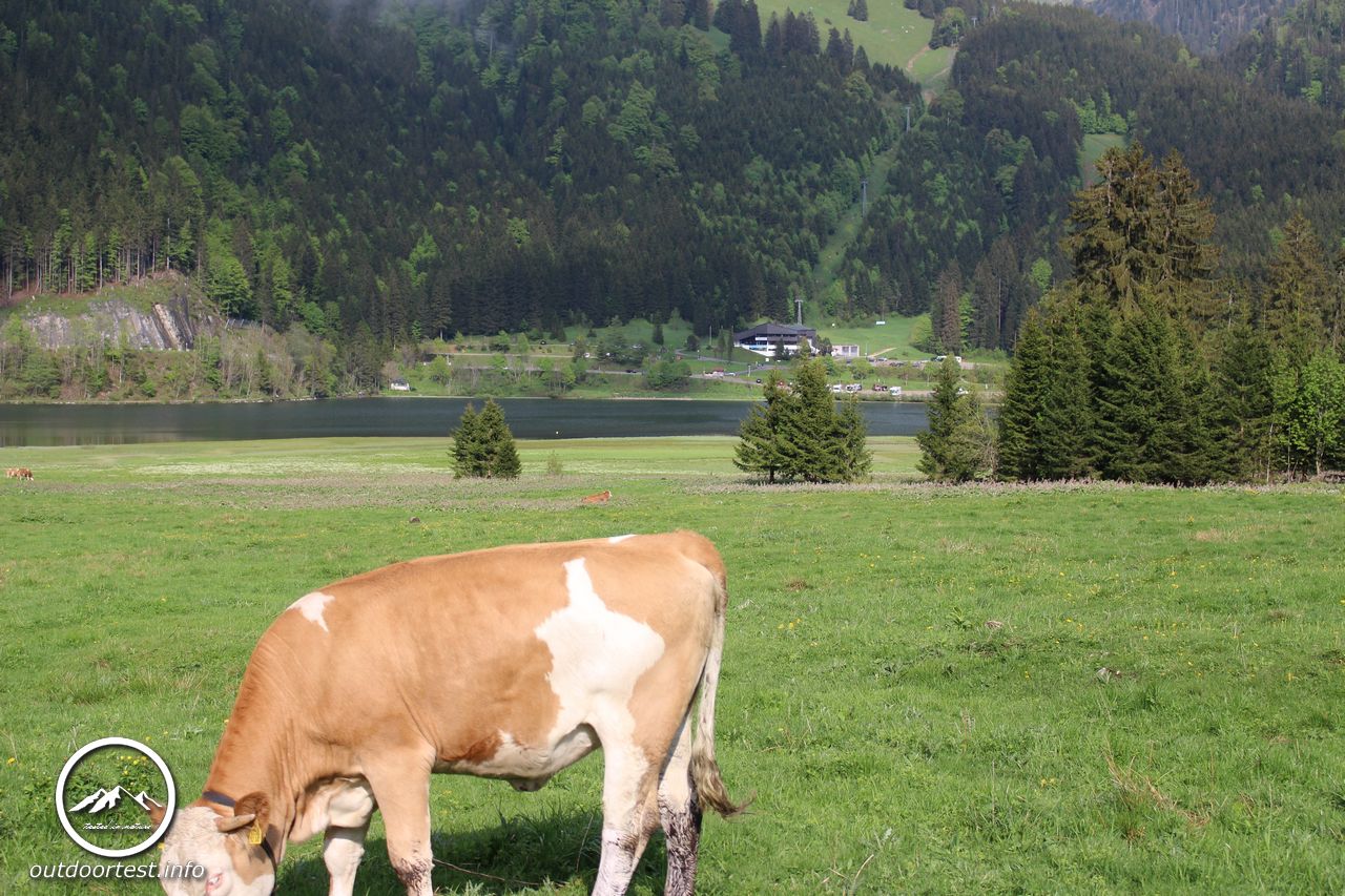 Wandertrophy 2016 - 1. Station Tegernsee-Schliersee 27.-29.05.2016