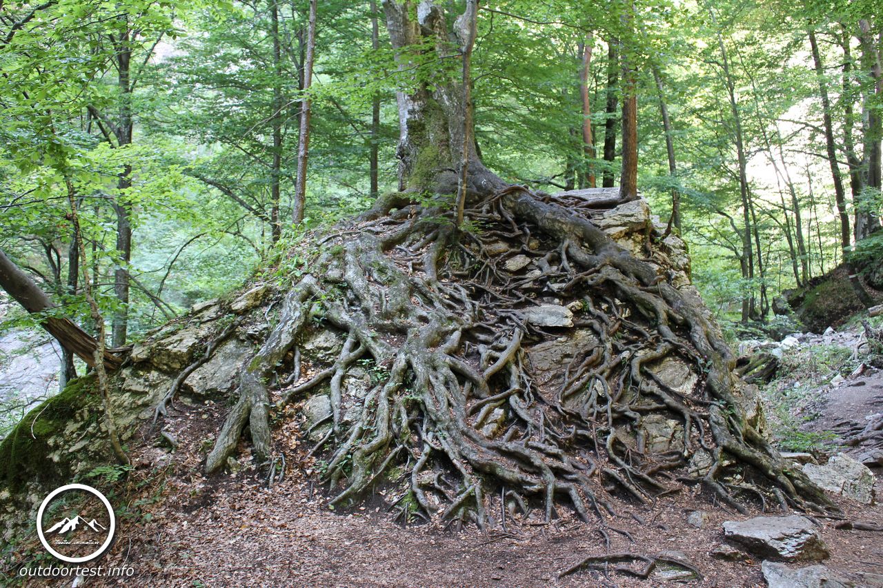 Die Garnitzenklamm - Kärnten 2016