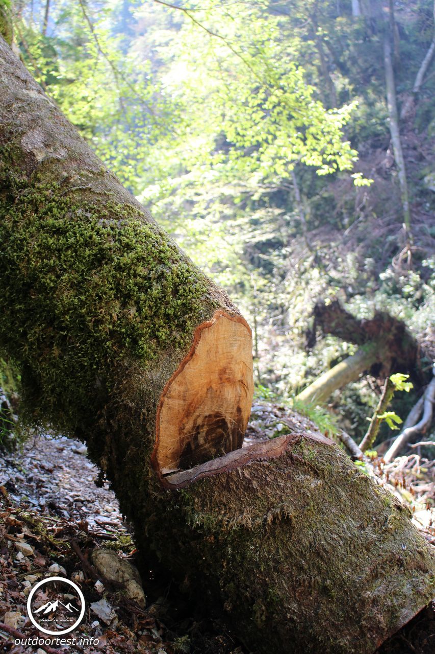 Die Garnitzenklamm - Kärnten 2016
