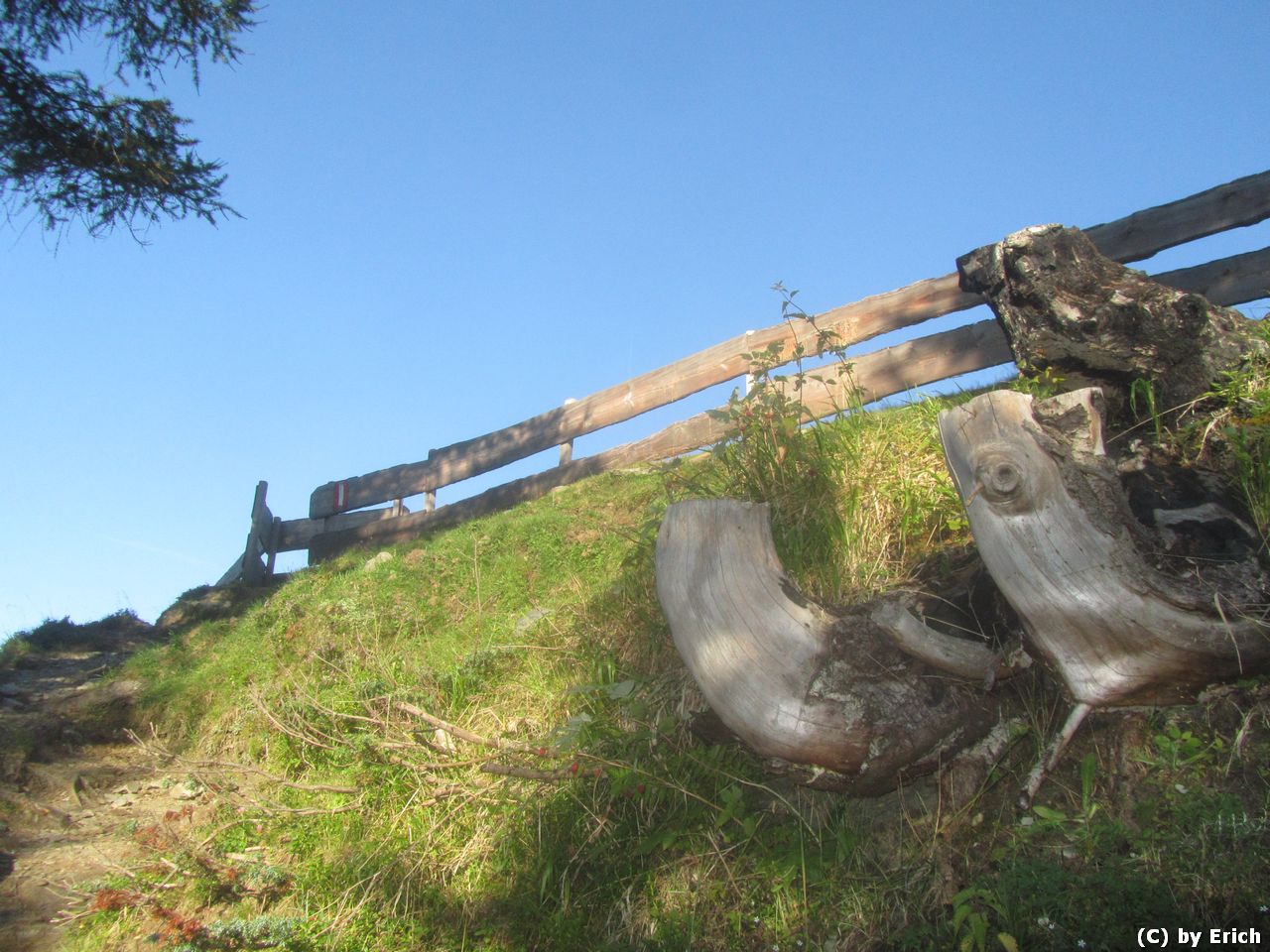 Scharnik, Hohe Tauern, 2657 m - Kärnten 2016