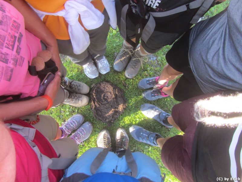 Scharnik, Hohe Tauern, 2657 m - Kärnten 2016