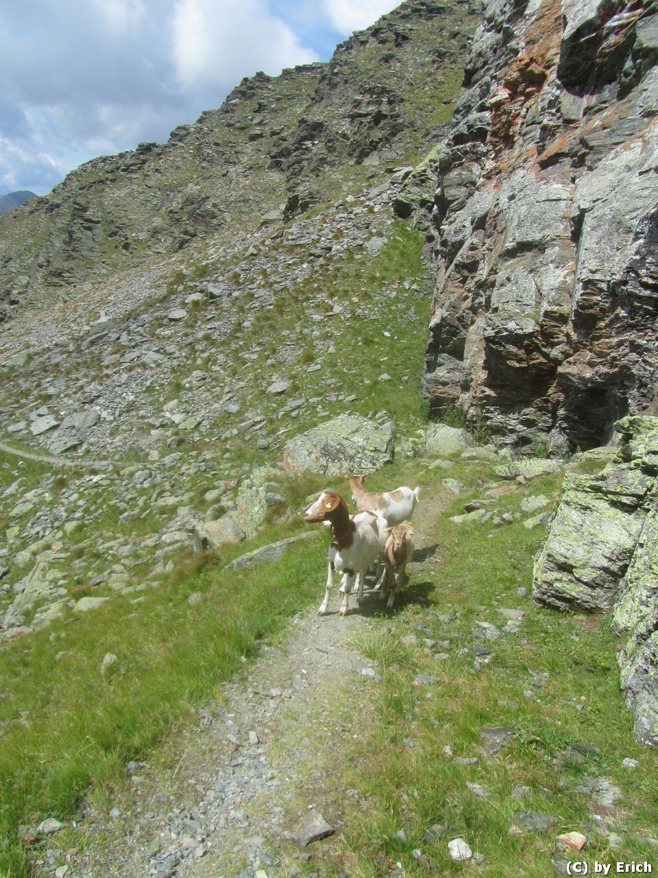 Scharnik, Hohe Tauern, 2657 m - Kärnten 2016