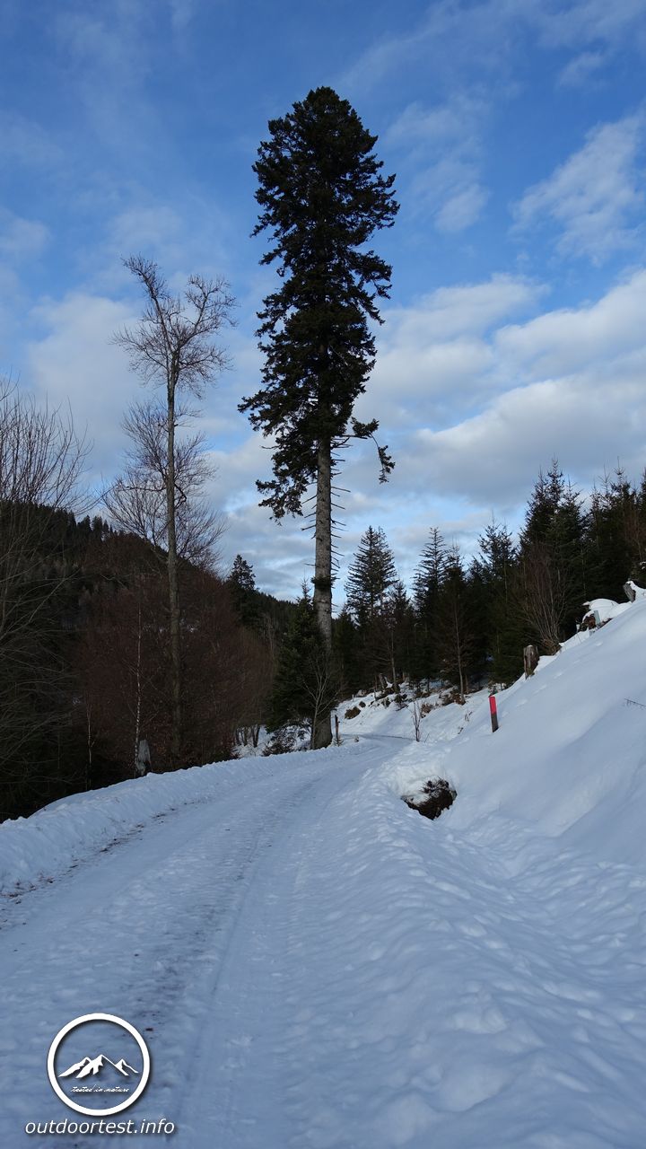 Winterwanderung im Ellbachtal - Schwarzwald