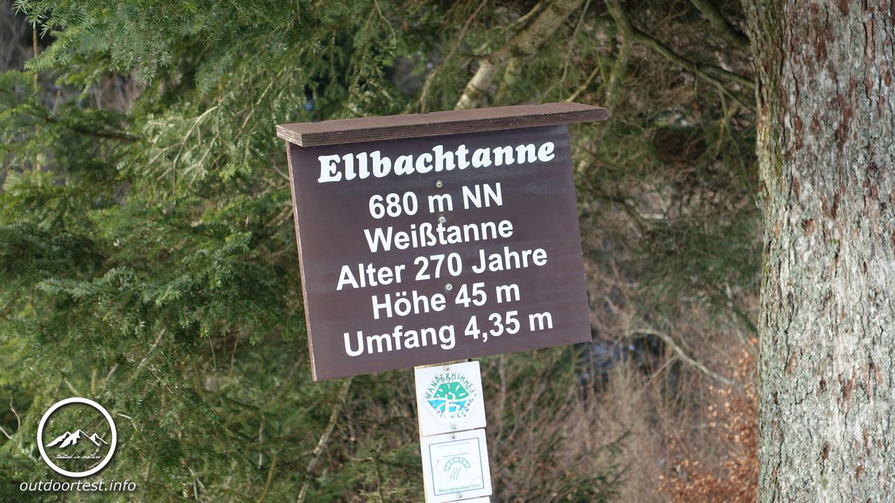 Winterwanderung im Ellbachtal - Schwarzwald
