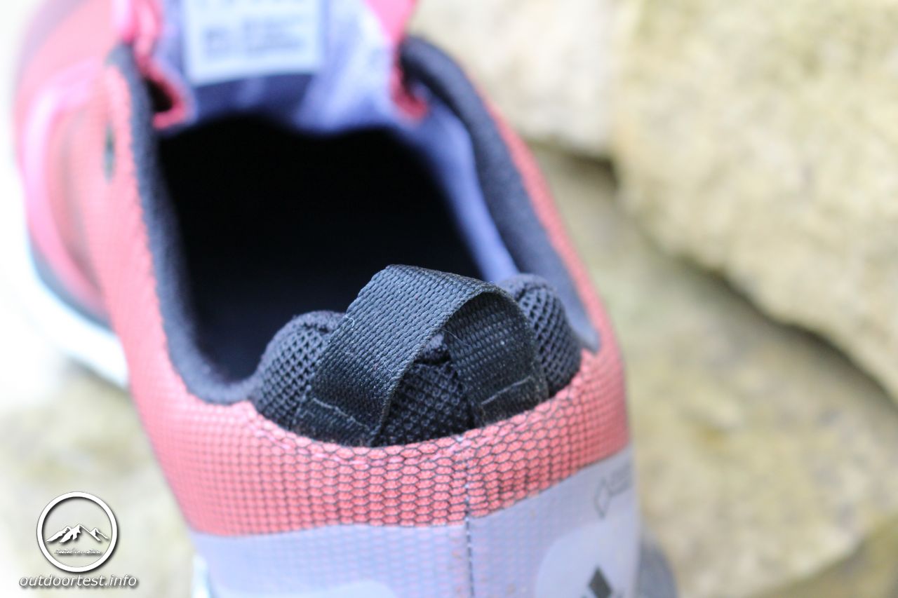 adidas Terrex Agravic GTX Damen