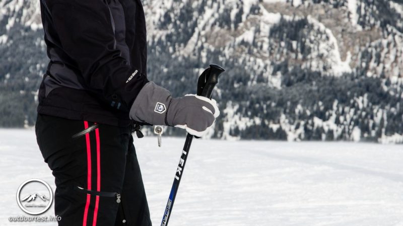 Hestra Army Leather Heli Ski