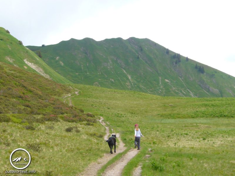 Was Hänschen nicht lernt….. Und dennoch eine merkwürdige Angelegenheit
