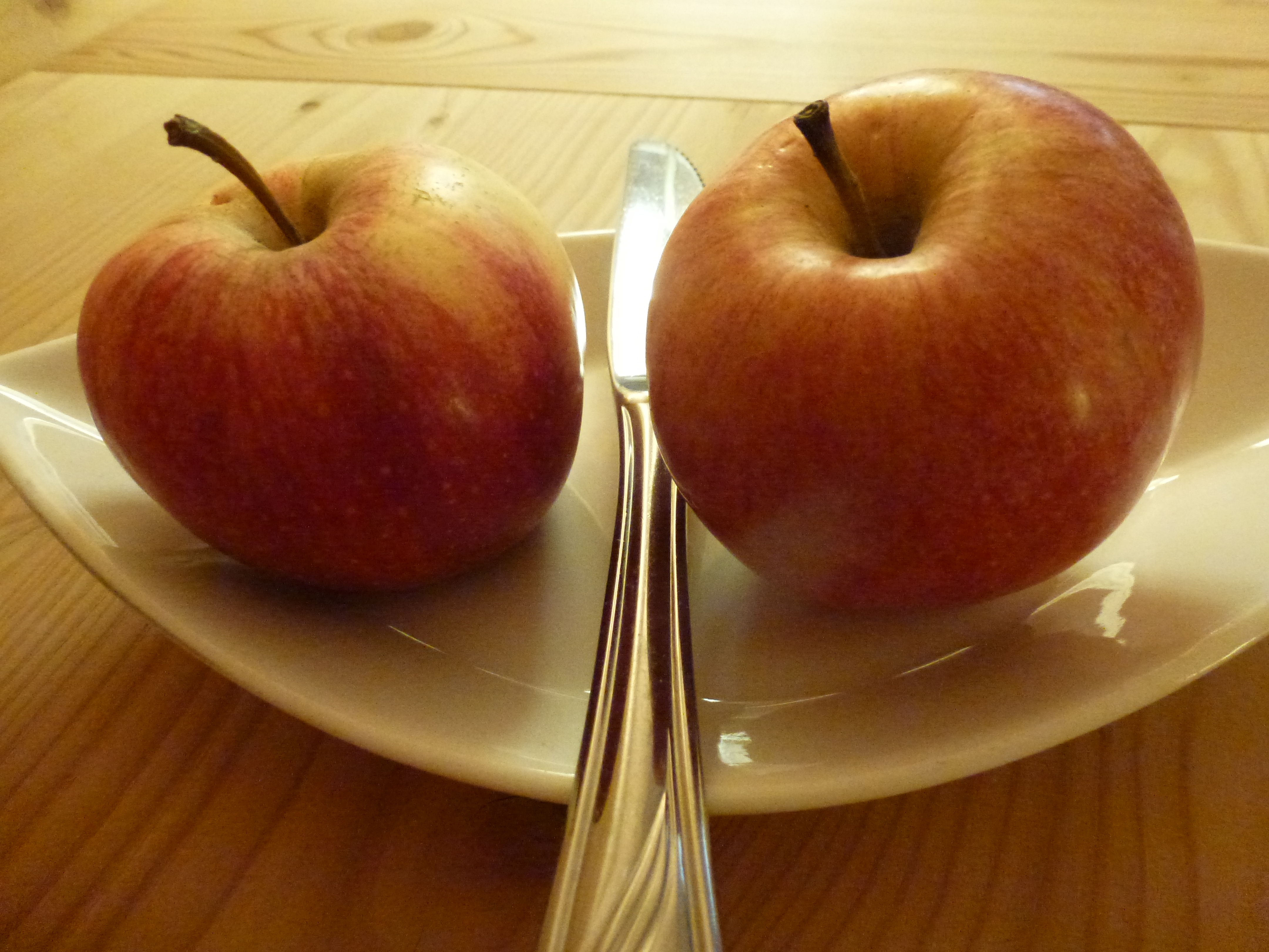 Reisebericht: Holzhotel Forsthofalm - Leogang