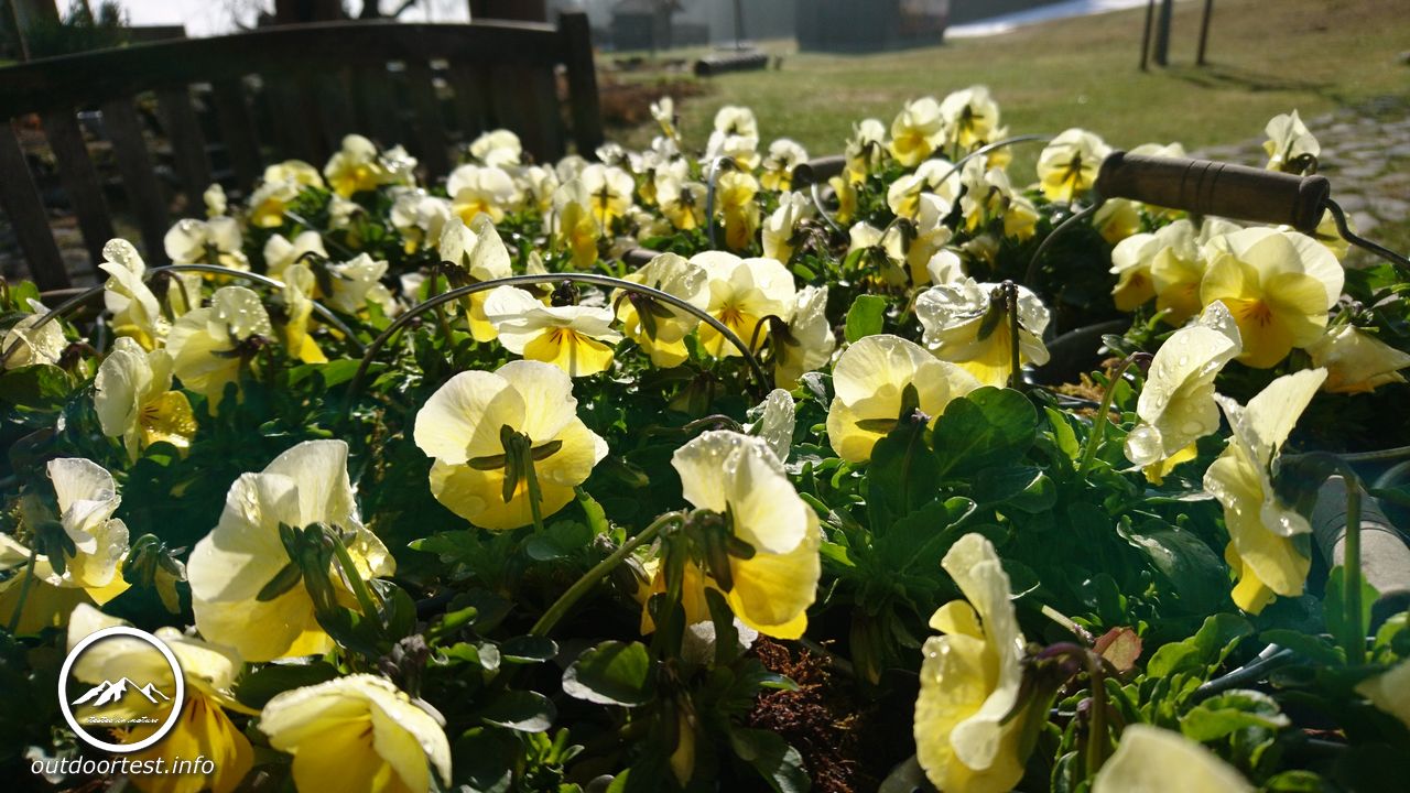 Reisebericht: Holzhotel Forsthofalm - Leogang