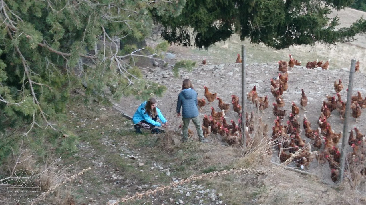 Reisebericht: Winterurlaub auf dem Parndle Hof im Eisacktal