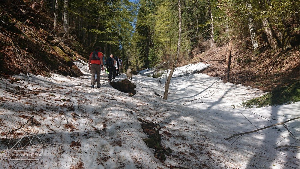 Reisebericht: Tegernsee (16.-19. Mai 2019)