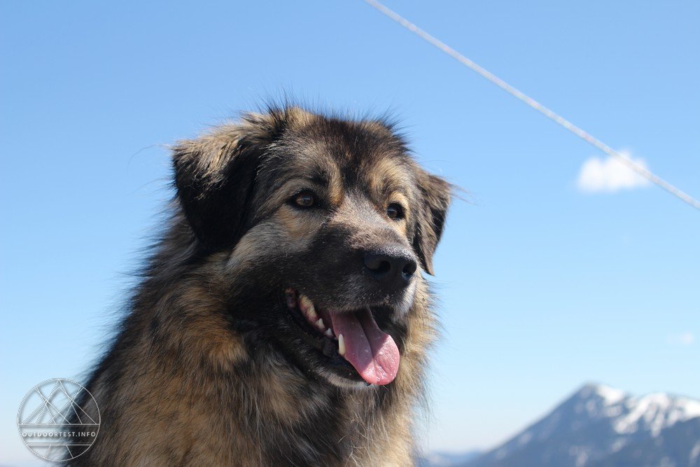 Reisebericht: Tegernsee (16.-19. Mai 2019)