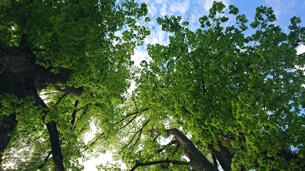 Reisebericht: Tegernsee (16.-19. Mai 2019)