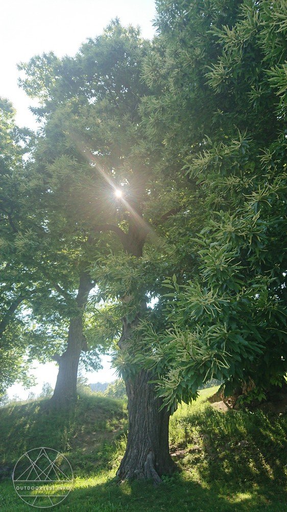 Reisebericht: Sabiona2019 in Südtirol