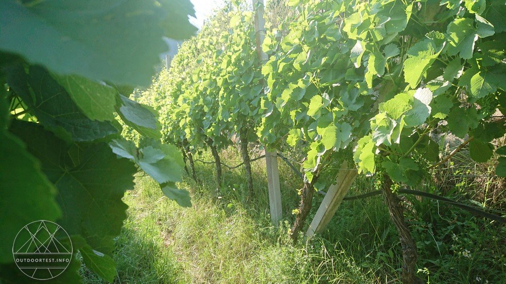 Reisebericht: Sabiona2019 in Südtirol