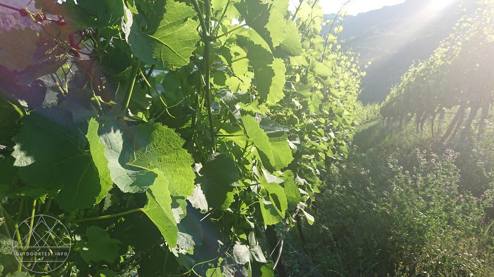 Reisebericht: Sabiona2019 in Südtirol