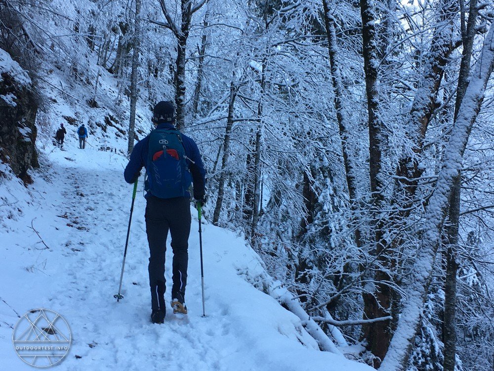 Dachstein Arctic Boa GTX