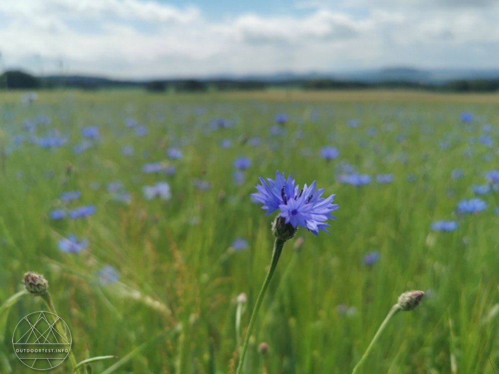 Malerweg Etappe 2 von Stadt Wehlen nach Hohnstein