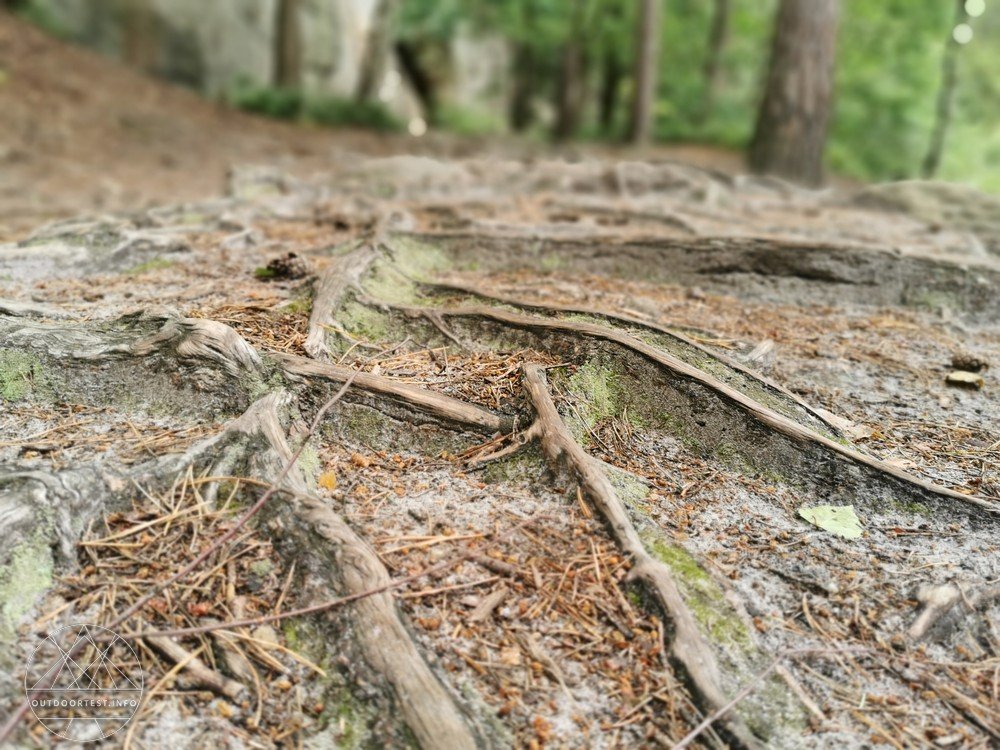 Malerweg Etappe 3 von Hohnstein nach Altendorf