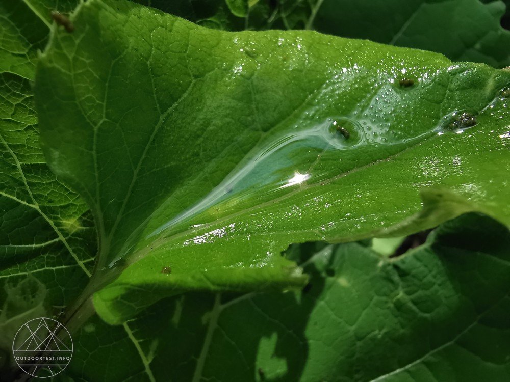 Malerweg Etappe 3 von Hohnstein nach Altendorf