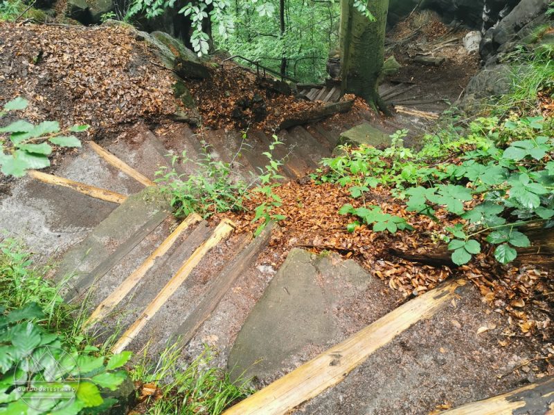 Malerweg Etappe 3 von Hohnstein nach Altendorf