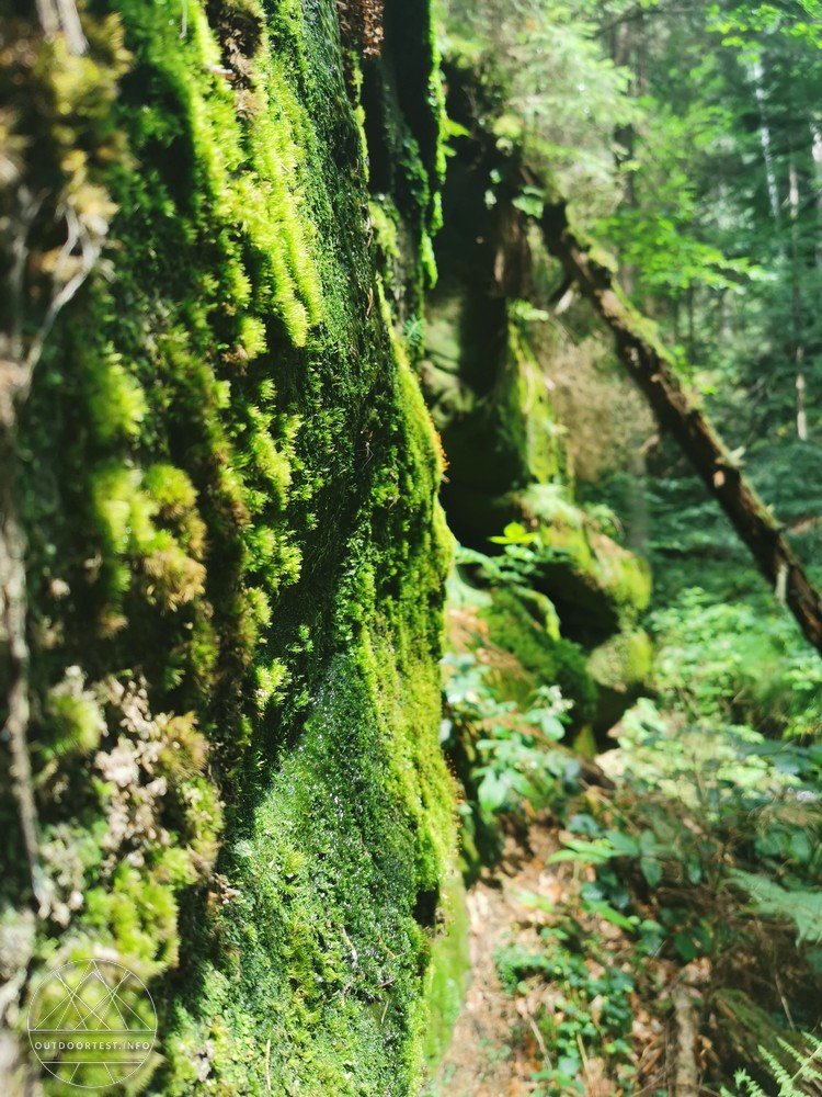 Malerweg Etappe 3 von Hohnstein nach Altendorf