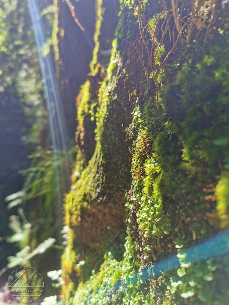 Malerweg Etappe 4 von Altendorf zur Neumannmühle