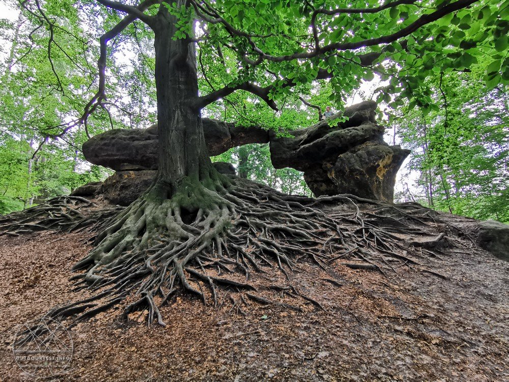 Malerweg Etappe 4 von Altendorf zur Neumannmühle