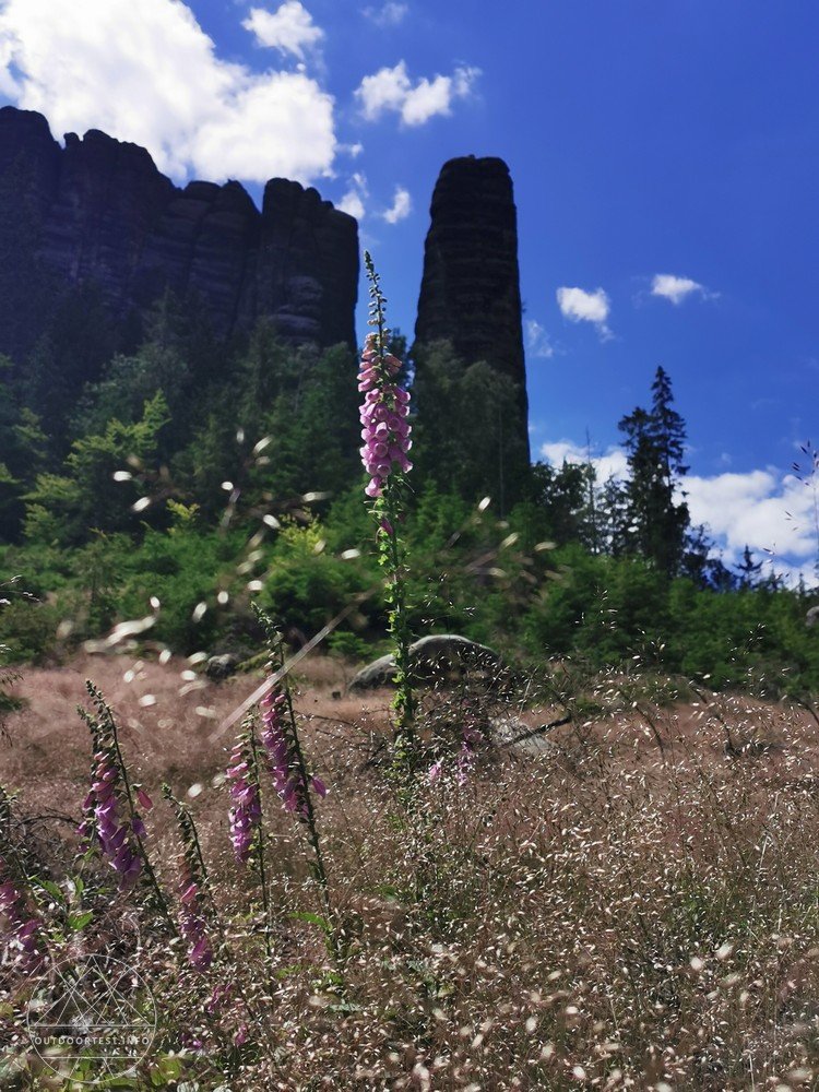 Malerweg Etappe 4 von Altendorf zur Neumannmühle