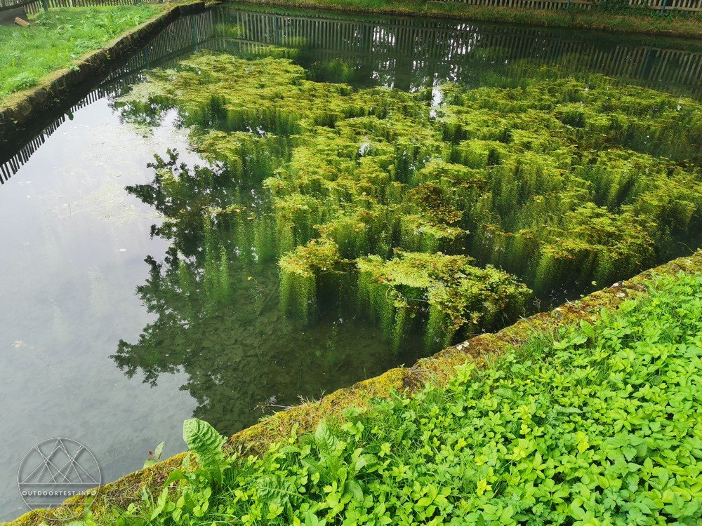 Malerweg Etappe 6 von Schöna nach Kurort Gohrisch