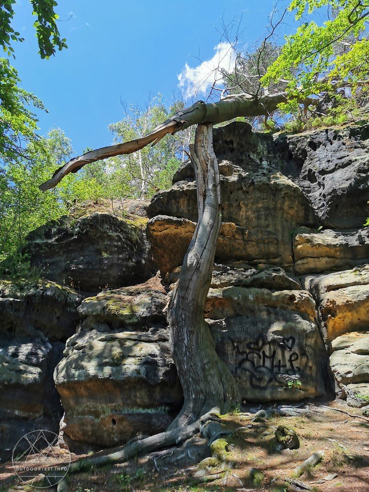 Malerweg Etappe 6 von Schöna nach Kurort Gohrisch