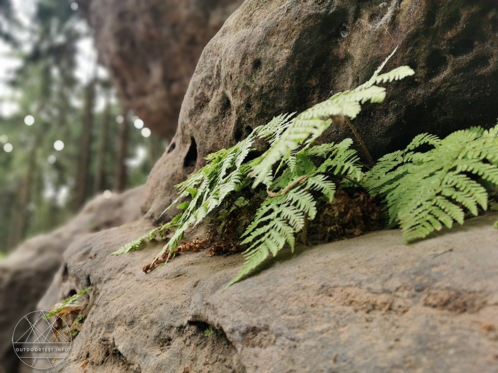Malerweg Etappe 7 vom Kurort Gorisch bis Weißig