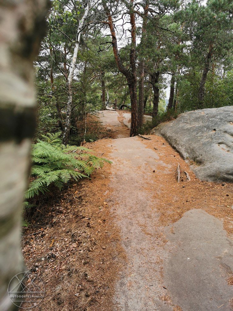 Malerweg Etappe 8 von Weißig nach Pirna