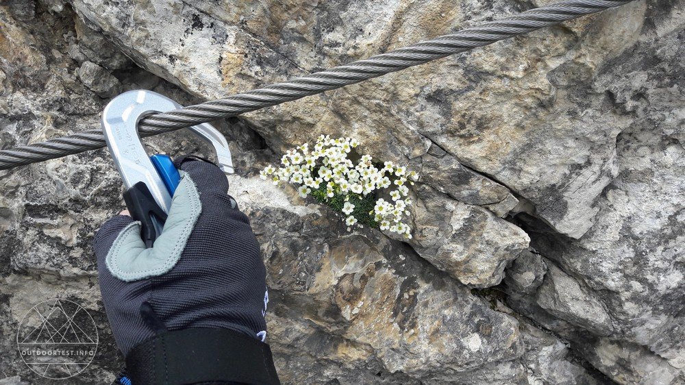 Edelrid Work Glove Closed - Alles fest im Griff