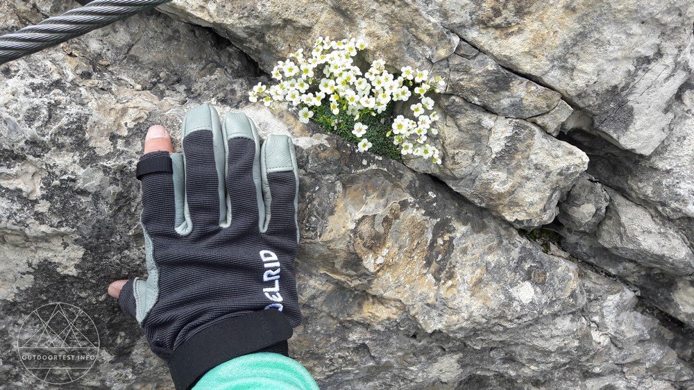 Edelrid Work Glove Closed - Alles fest im Griff