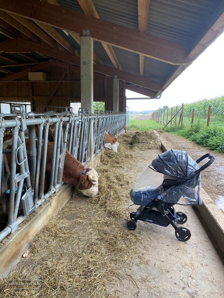 Ergobaby Metro Compact City Stroller 2020