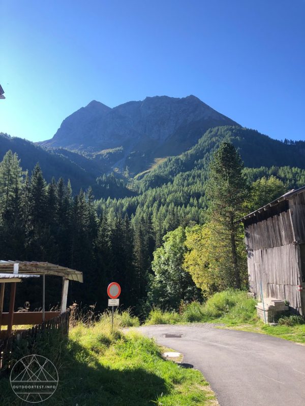 Reisebericht: Waldbaden – Loslassen unter Lärchen