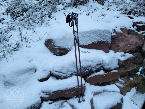 LEKI Artena Airfoil 3D