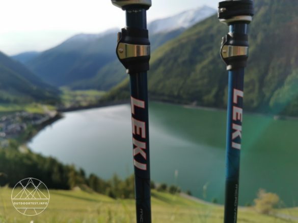 LEKI Micro Vario Carbon