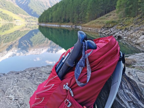 LEKI Micro Vario Carbon