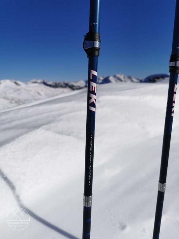 LEKI Micro Vario Carbon