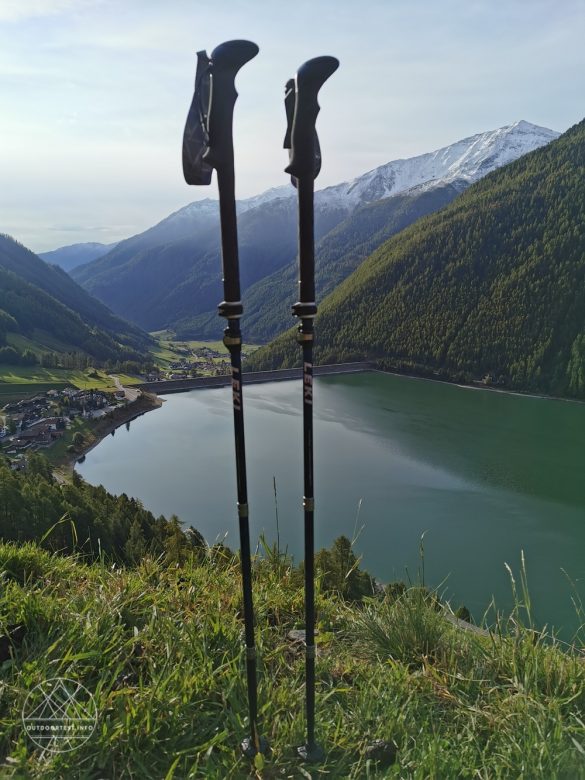 LEKI Micro Vario Carbon